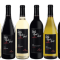 Wine Review: Little Black Dress Merlot