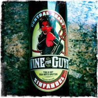 Wine Review: Wine for Guys