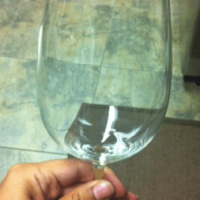 Wine Review: Pairing Wine with Food