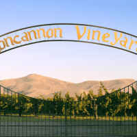 Wine Review: Concannon- Crimson & Clover