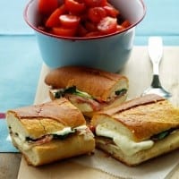 Mozzarella and Ham Panini