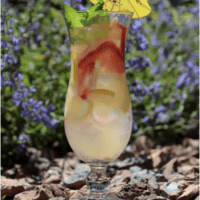 Cocktail Corner: Strawberry Lemonade Sangria
