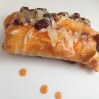 Quick 5 Minute Enchiladas