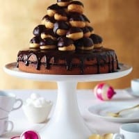 Jam-Filled Cake with Chocolate Glaze, Topped with Glazed Raspberry Cream Puffs