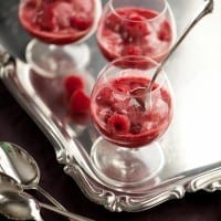 Raspberry Lychee Champagne Sorbet
