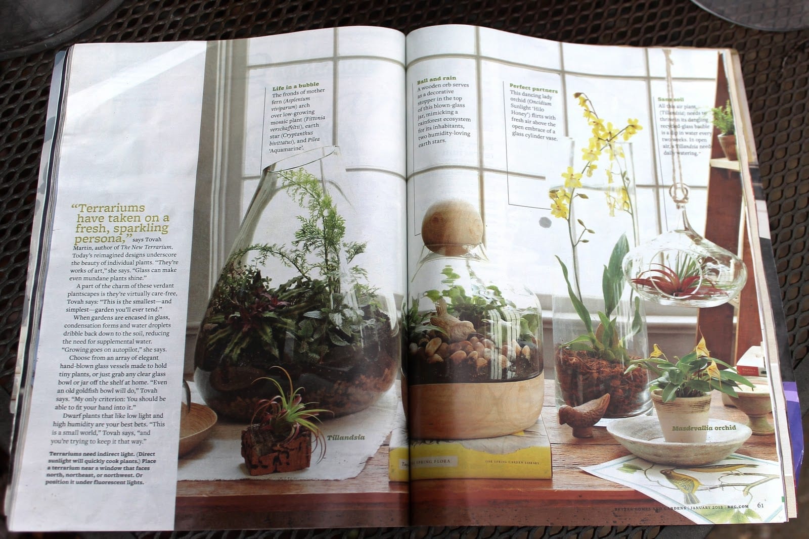 terrariums