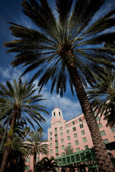 Vinoy tower and palm trees1