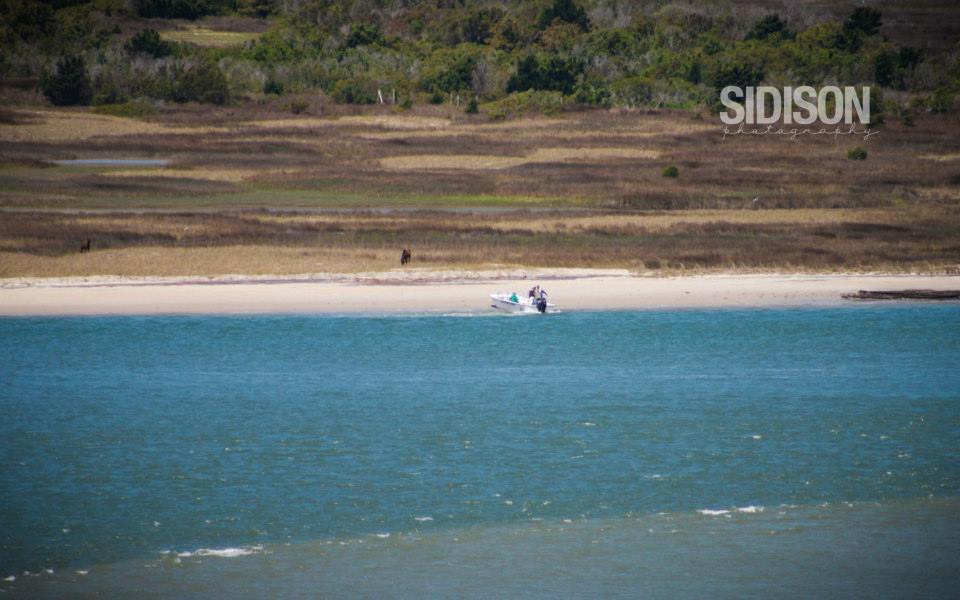 shackleford3