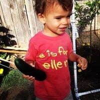 Cool Cucumber &ldquo;Salad&rdquo; & Tips on Growing Your Own Cucumbers