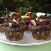 Dirt and Worm Chocolate Cupcakes