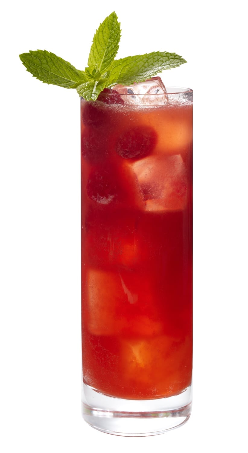 Shellback Raspberry Melon Mojito