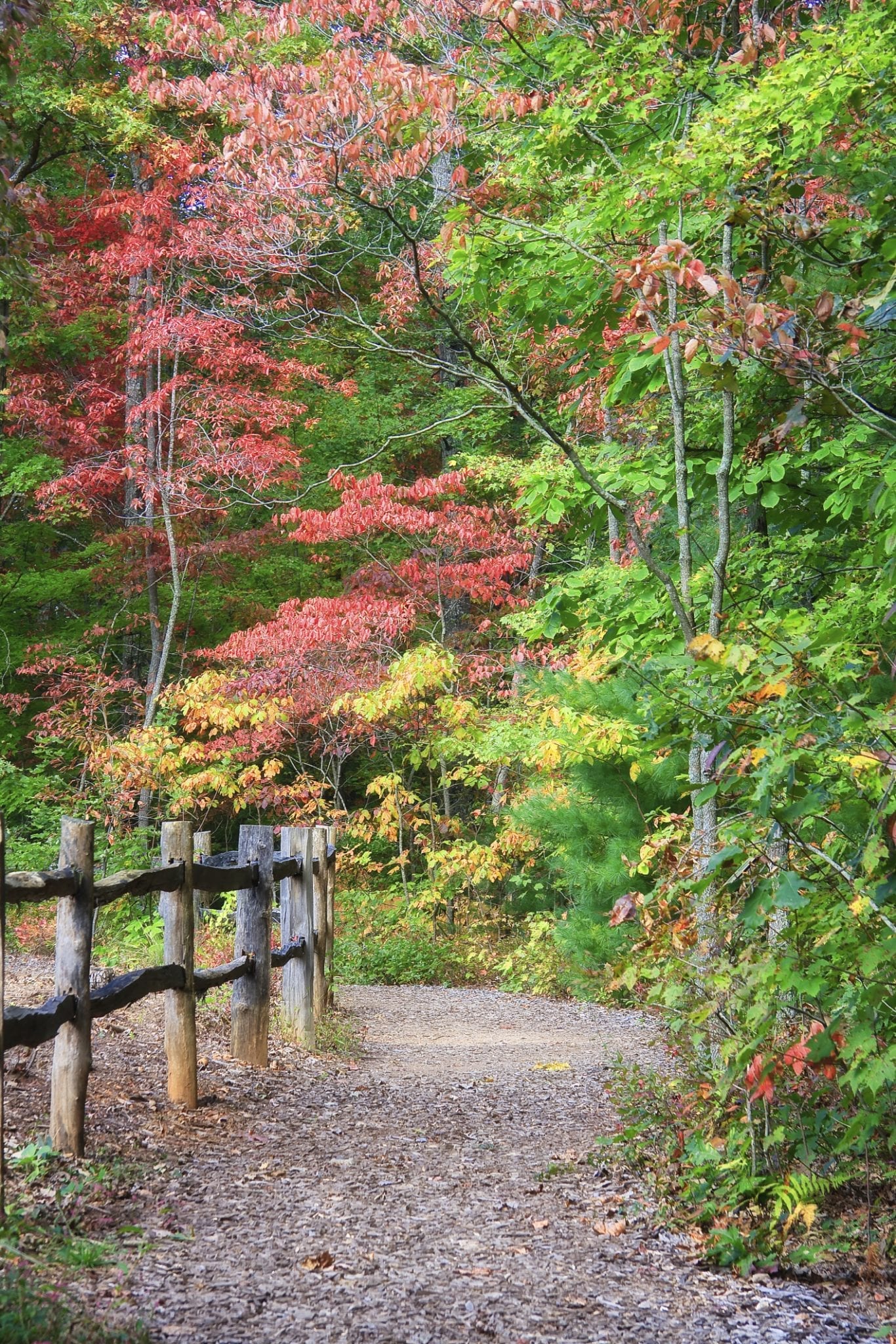 fall2