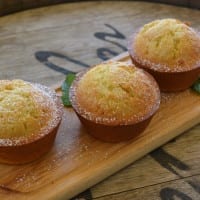 Citrus Olive Oil Muffins