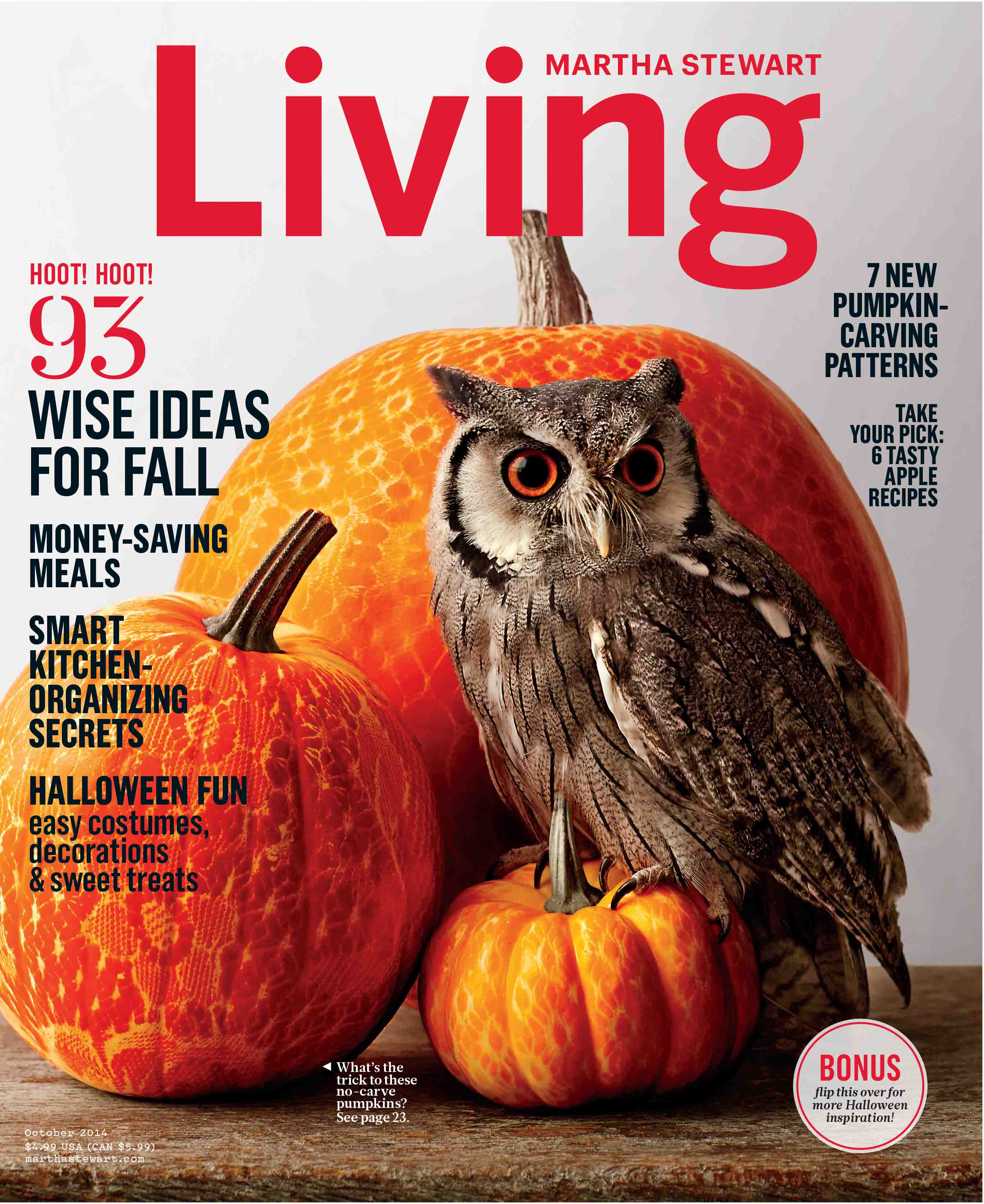 MSLOctCover