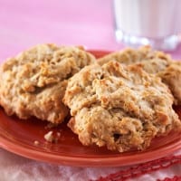 Tofu Oatmeal Coconut Cookies