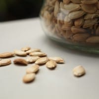 Toasted Pumpkin Seeds