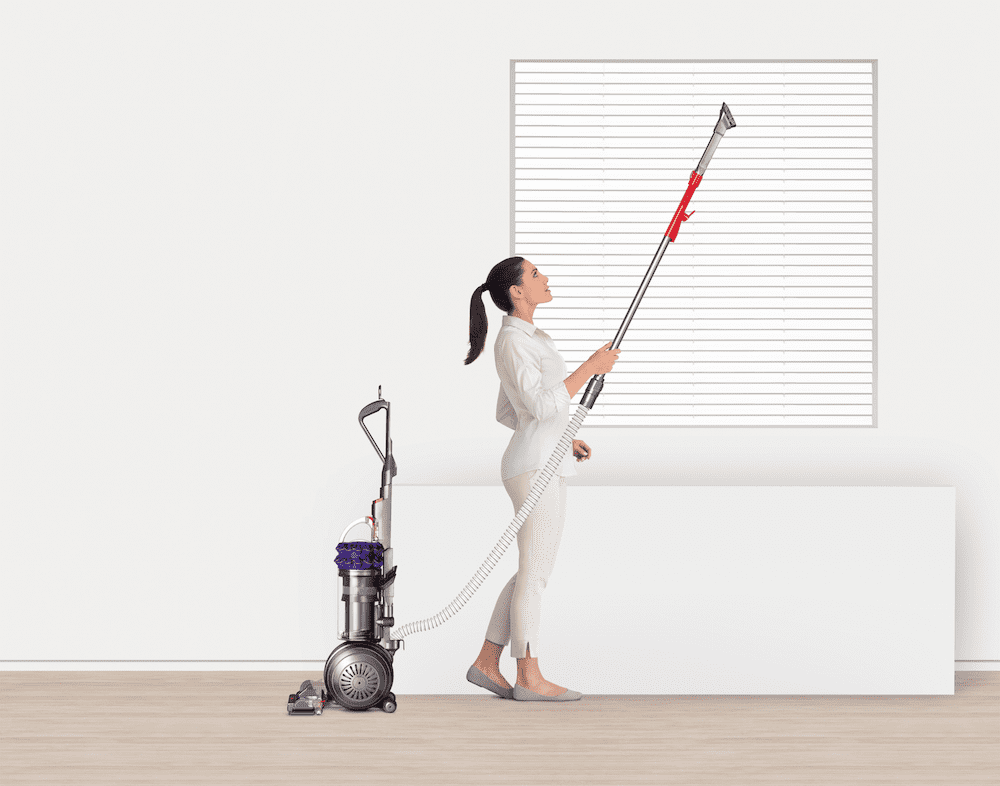 Animal high reach