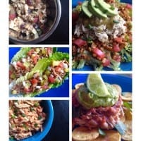 Slow Cooker Shredded Chicken 5 Ways