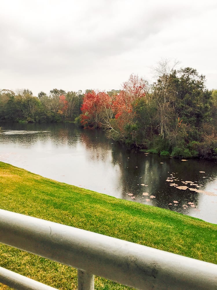 sawgrass20